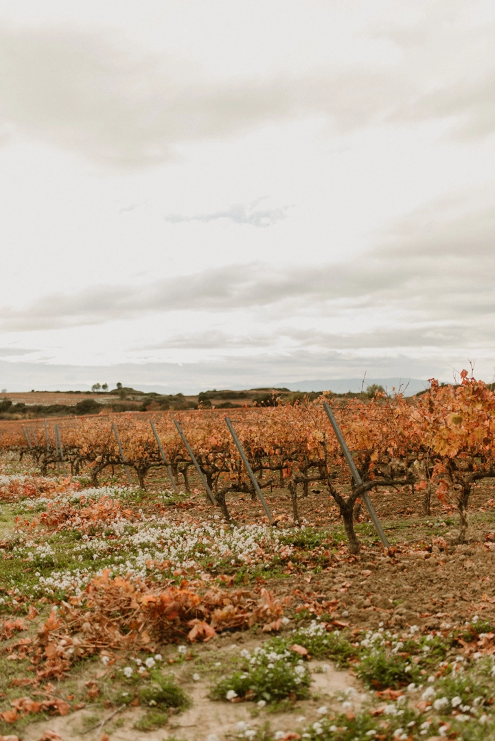 DE HISTORIAS Y TRADICIONES